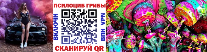 закладки  Слюдянка  Галлюциногенные грибы мицелий 